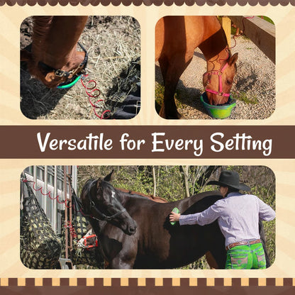 🔥Horse Stretch Spring Rope